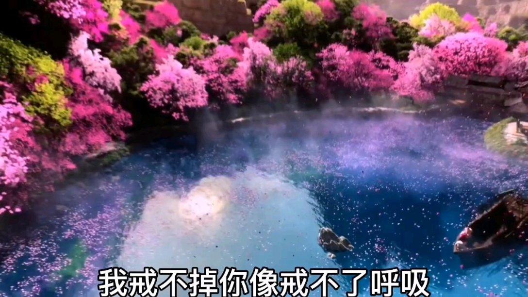 雨后盛放