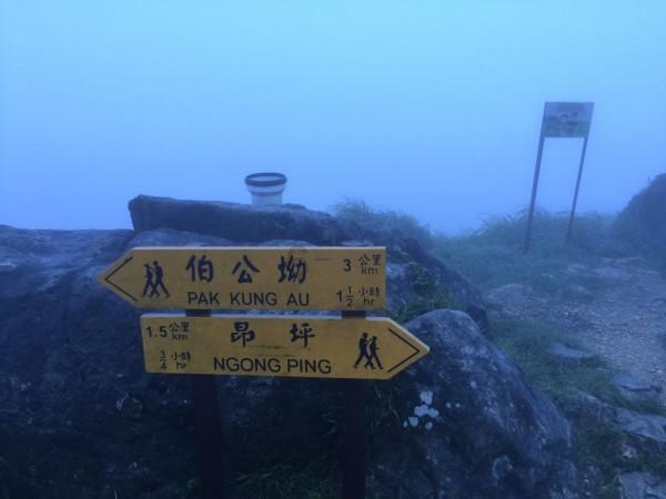 鸣鹤古镇是谁的故乡？？？游戏画面