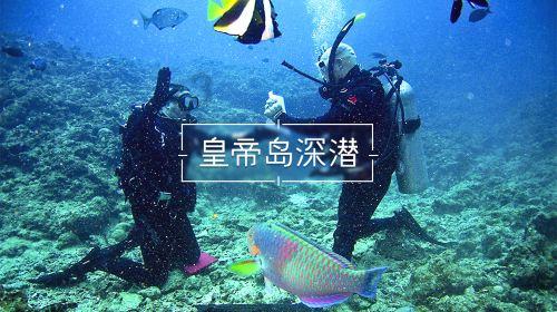 如何界定「重婚」？重婚罪判刑依据是什么？游戏画面